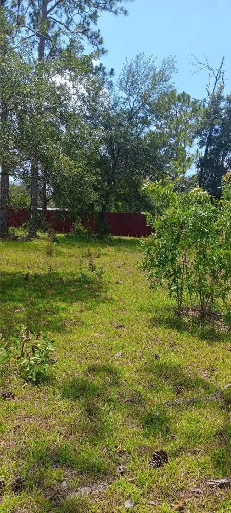 Expert landscape design experts serving Citra, FL - Mr Big Motion Lawn Care Services