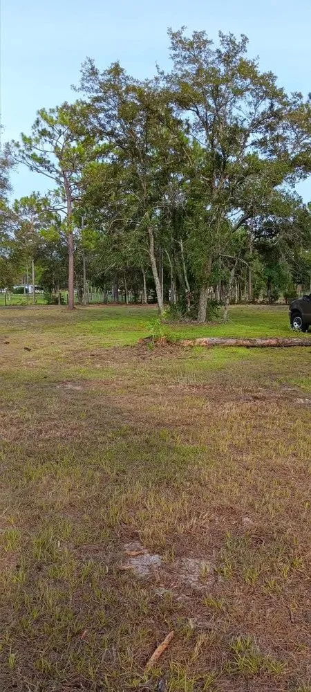 Top-rated yard cleanup service for residential properties in Citra, FL by Mr Big Motion Lawn Care Services