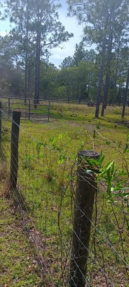 Local residential landscaping in Citra, FL - Mr Big Motion Lawn Care Services