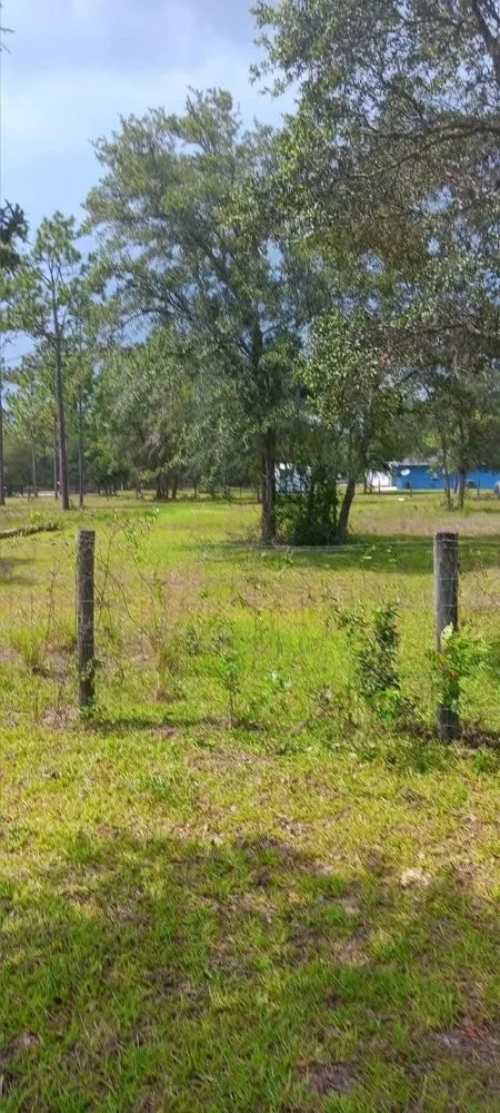 Affordable landscaping services with custom design in Citra, FL by Mr Big Motion Lawn Care Services