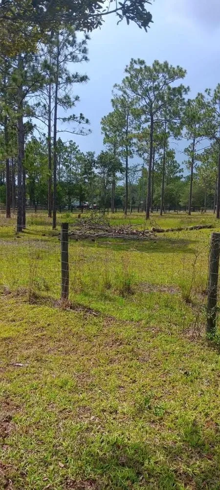 Trusted outdoor landscaping for homes in Citra, FL by Mr Big Motion Lawn Care Services