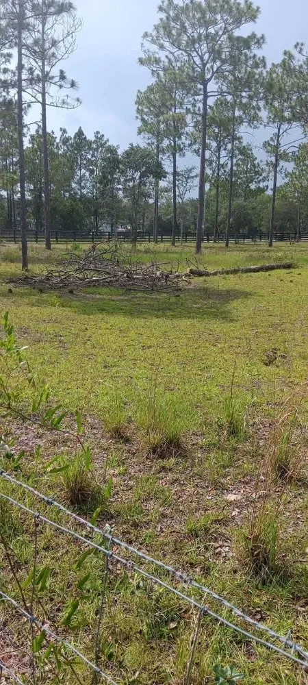 Professional yard cleanup service in Citra, FL - Mr Big Motion Lawn Care Services