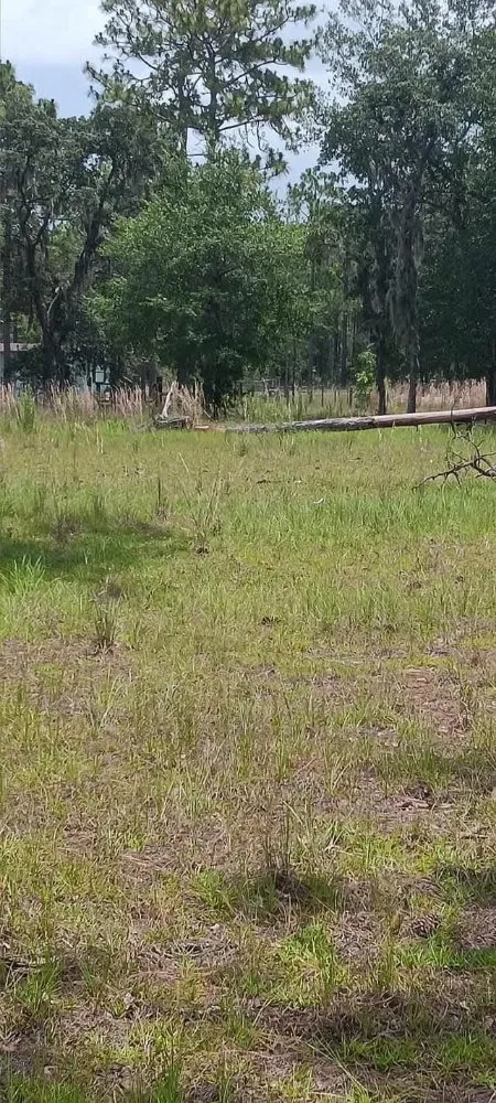 Professional outdoor landscaping with custom design across Citra, FL - Mr Big Motion Lawn Care Services