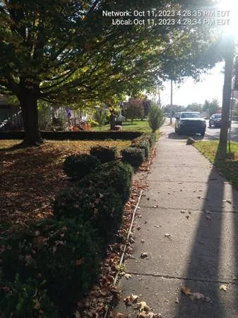Trusted yard cleanup service in South Abington Township, PA - Mr. Bill & Son