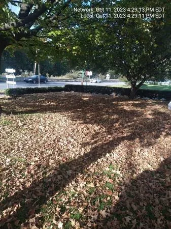 Trusted landscape installation in South Abington Township, PA by Mr. Bill & Son