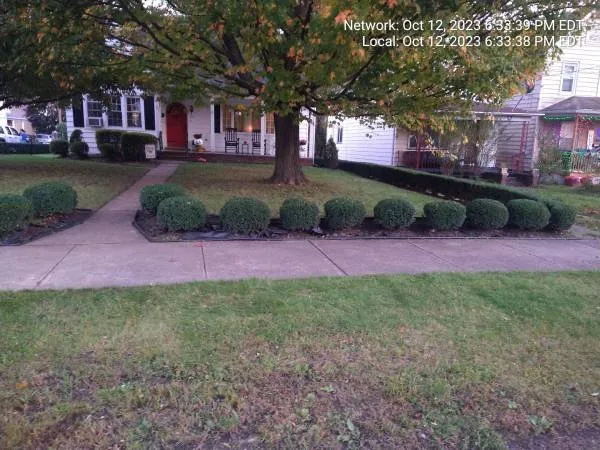 Top-rated lawn mowing service in South Abington Township, PA - Mr. Bill & Son