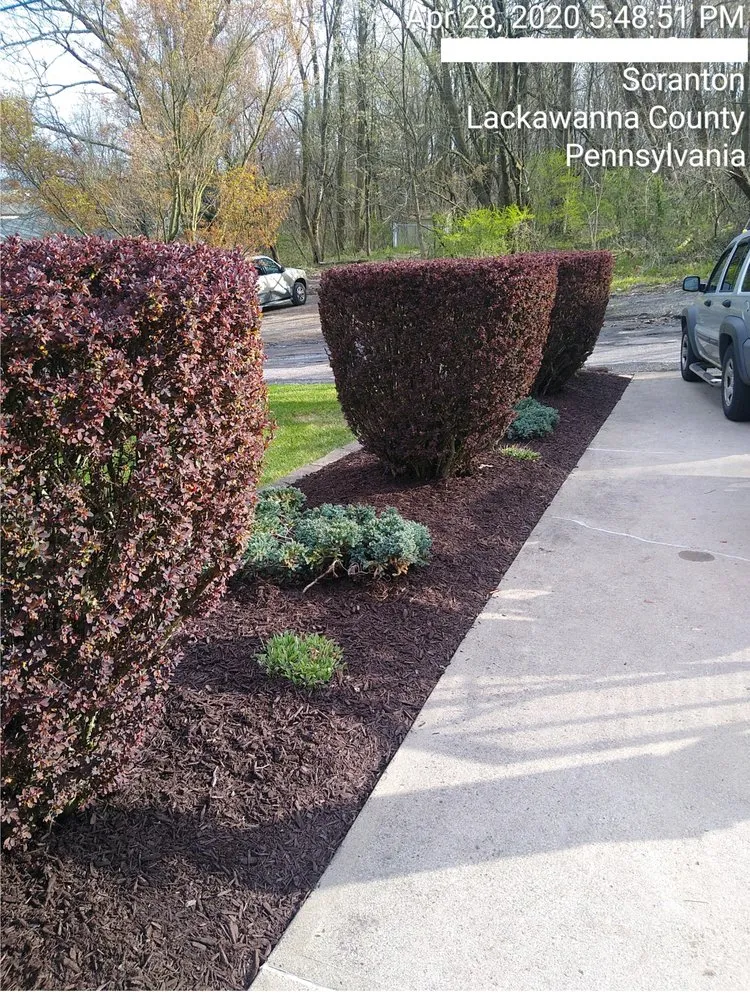 Affordable landscape installation in South Abington Township, PA - Mr. Bill & Son