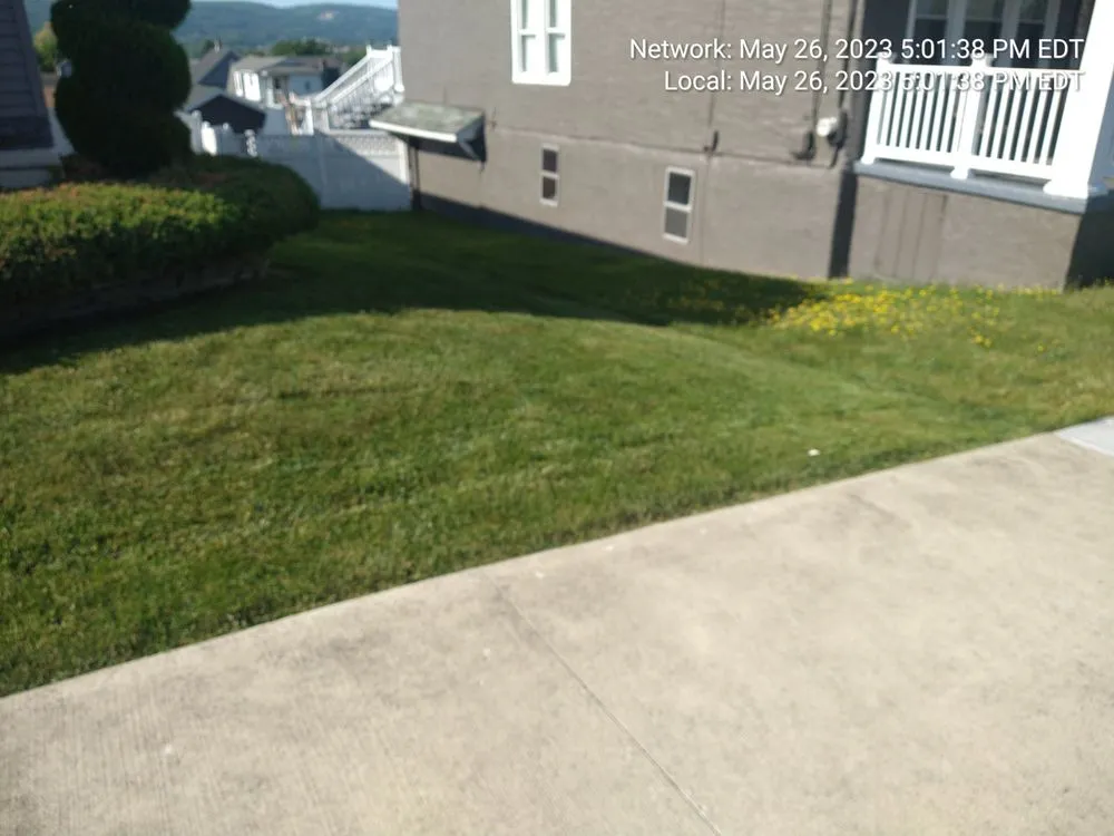 Top-rated garden landscaping with custom design across South Abington Township, PA - Mr. Bill & Son