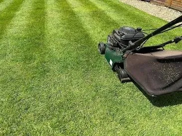 Local yard maintenance in Houston, TX by Mr Boss Lawn and Services