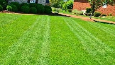 Affordable landscape installation in Houston, TX by Mr Boss Lawn and Services