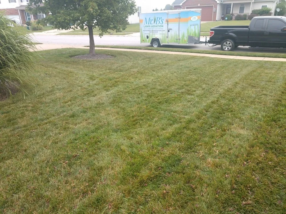 Trusted lawn care service for residential properties in West Lafayette, IN by Mr B's Lawn Aeration