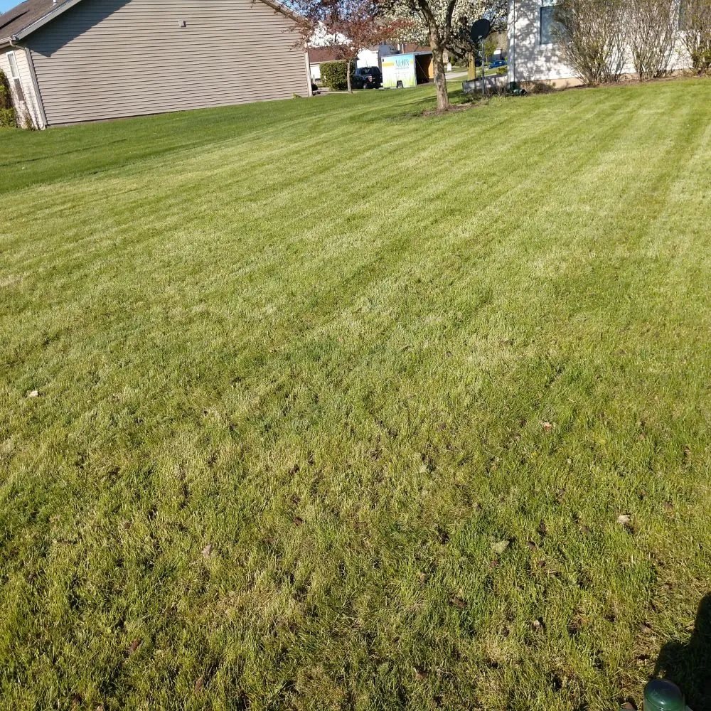 Affordable residential landscaping in West Lafayette, IN - Mr B's Lawn Aeration