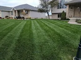 Professional yard cleanup service experts serving West Lafayette, IN - Mr B's Lawn Aeration