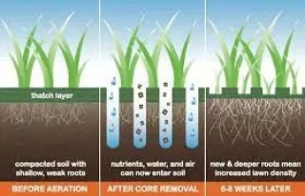 Custom landscape installation in West Lafayette, IN by Mr B's Lawn Aeration