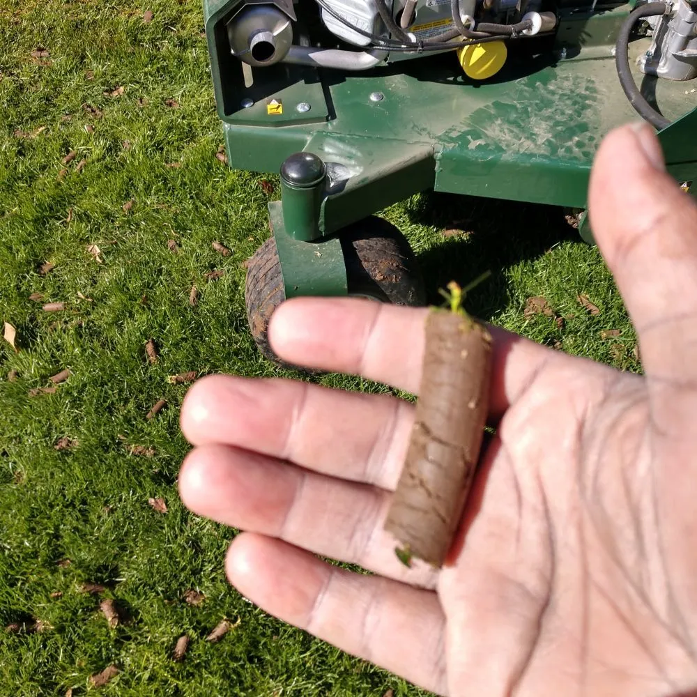 Affordable lawn care service for residential properties in West Lafayette, IN by Mr B's Lawn Aeration