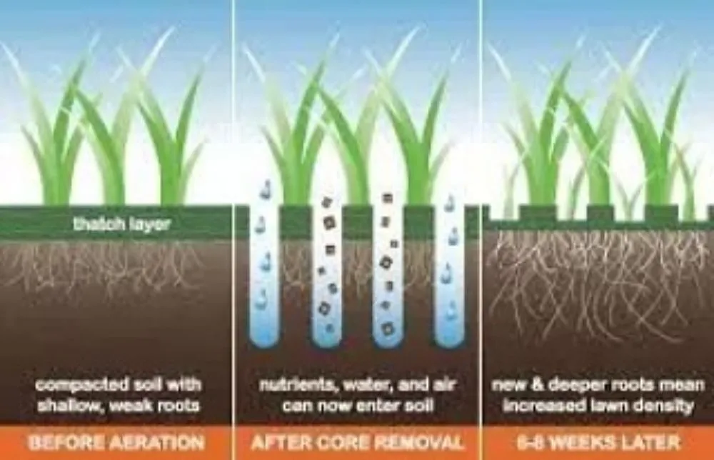 Expert yard cleanup service near you in West Lafayette, IN by Mr B's Lawn Aeration