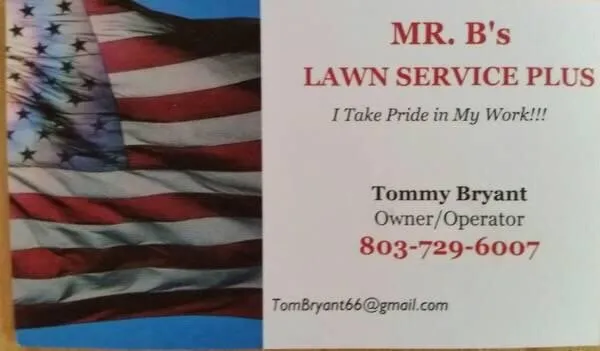 Top-rated yard cleanup service in Lugoff, SC by Mr B's Lawn Service Plus