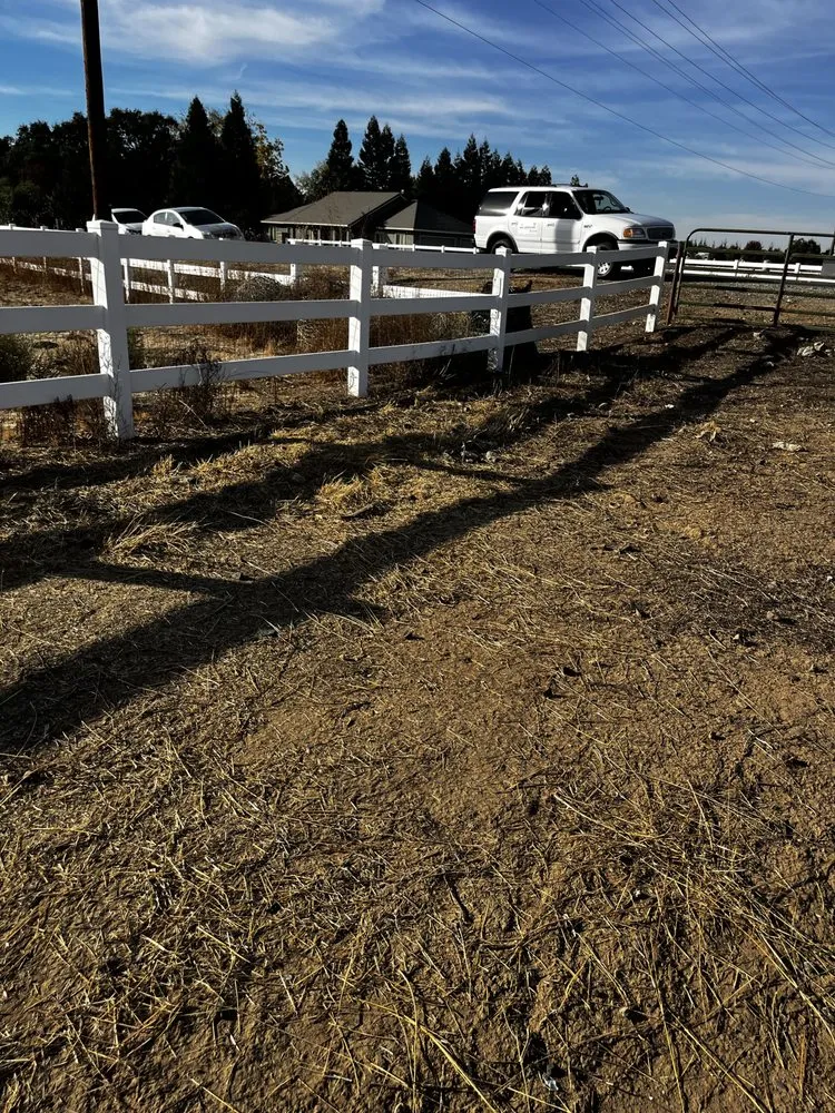 Local yard cleanup service in Stockton, CA by Mr. B’s Pressure Washing Service