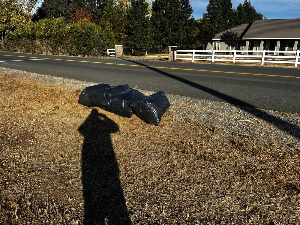 Reliable garden landscaping experts serving Stockton, CA - Mr. B’s Pressure Washing Service