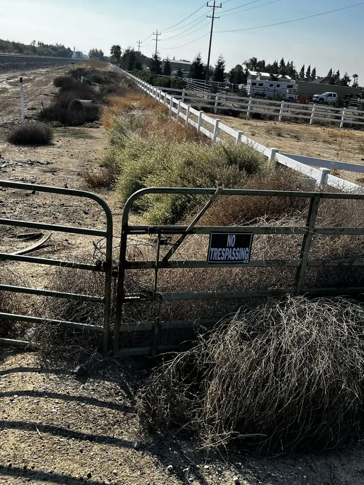 Professional yard maintenance with custom design across Stockton, CA - Mr. B’s Pressure Washing Service