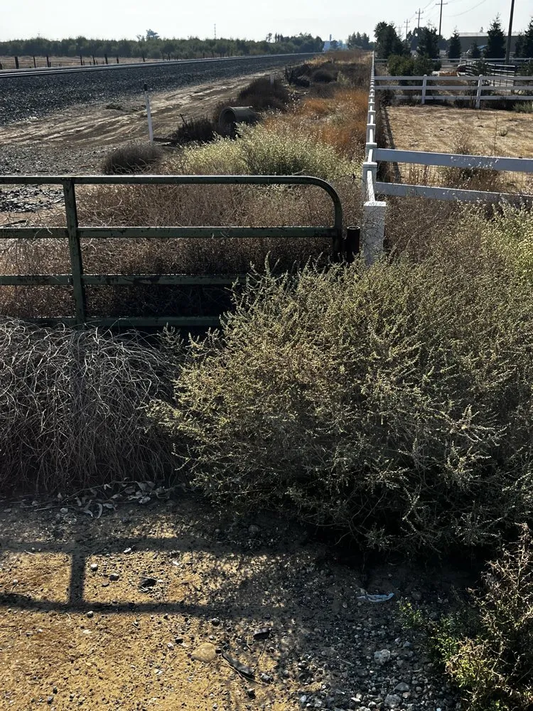 Trusted lawn mowing service for beautiful yards in Stockton, CA by Mr. B’s Pressure Washing Service