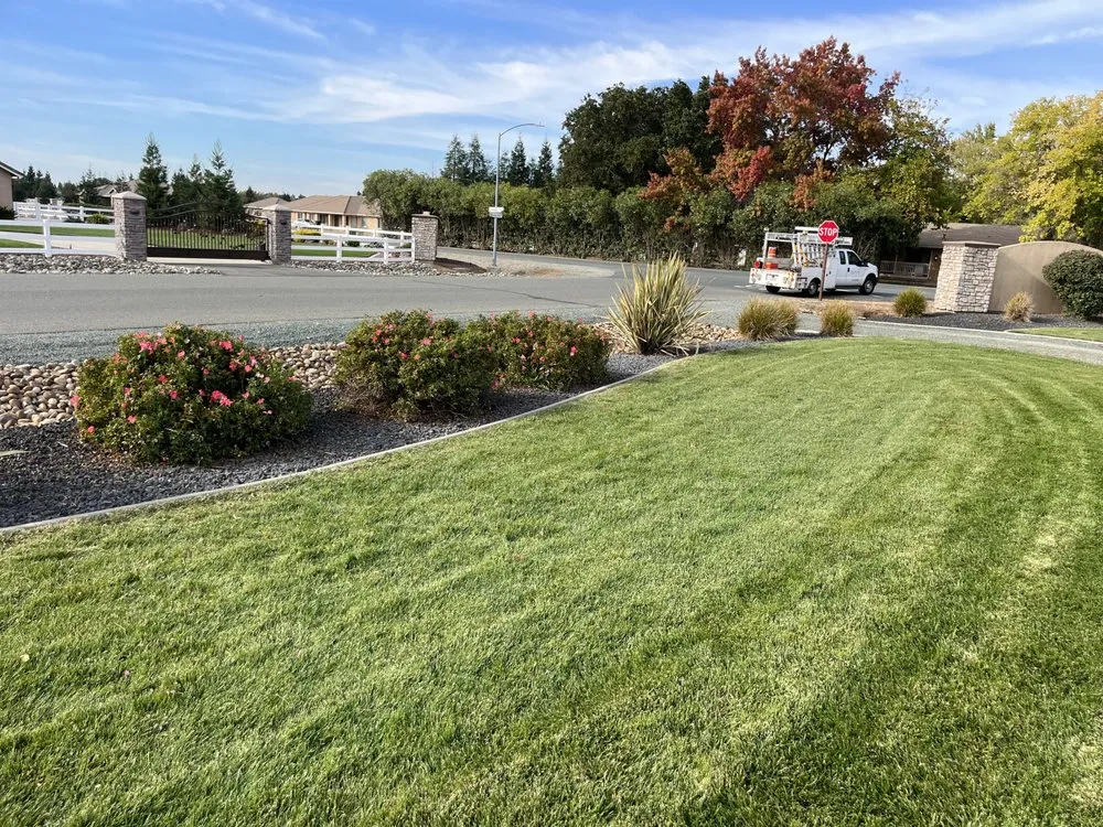 Expert outdoor landscaping in Stockton, CA by Mr. B’s Pressure Washing Service