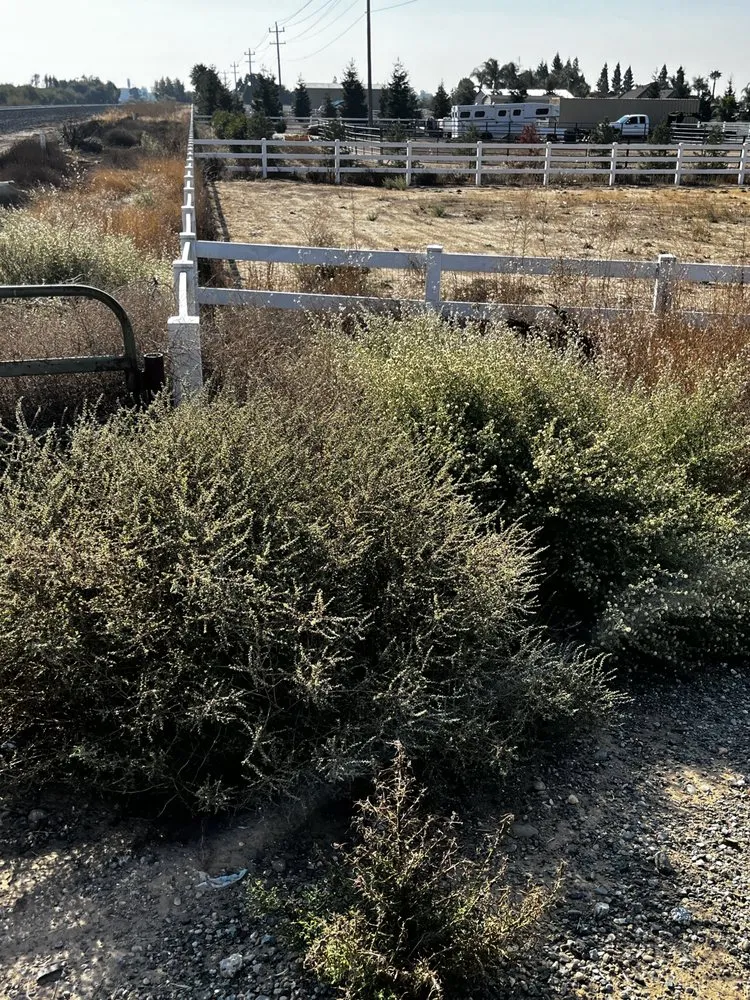 Affordable yard cleanup service experts serving Stockton, CA - Mr. B’s Pressure Washing Service