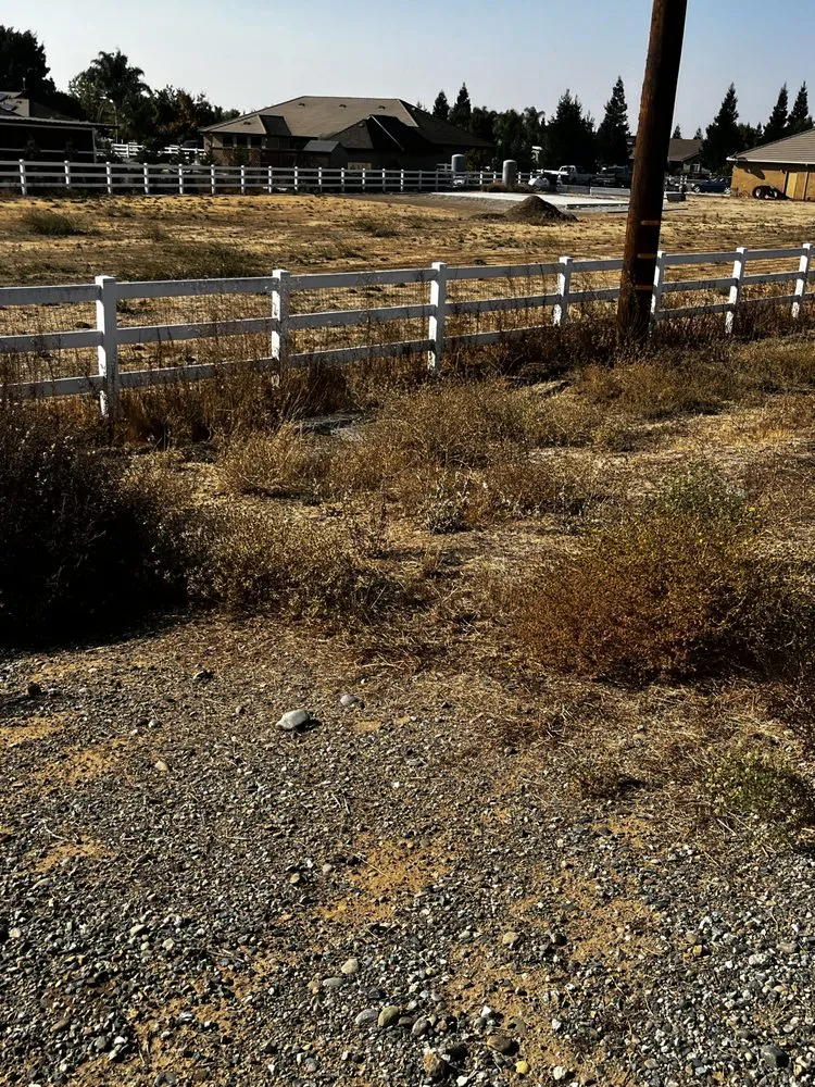 Local landscaping services for beautiful yards across Stockton, CA - Mr. B’s Pressure Washing Service