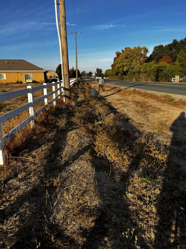 Expert lawn mowing service in Stockton, CA by Mr. B’s Pressure Washing Service