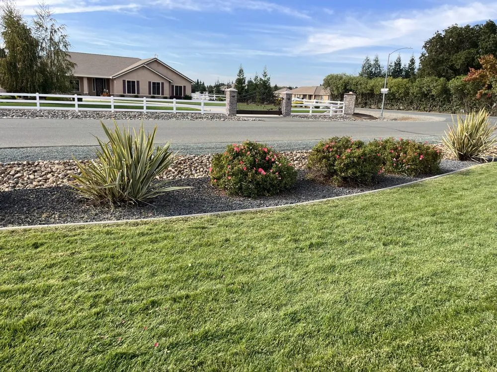 Trusted landscape design for homes across Stockton, CA - Mr. B’s Pressure Washing Service