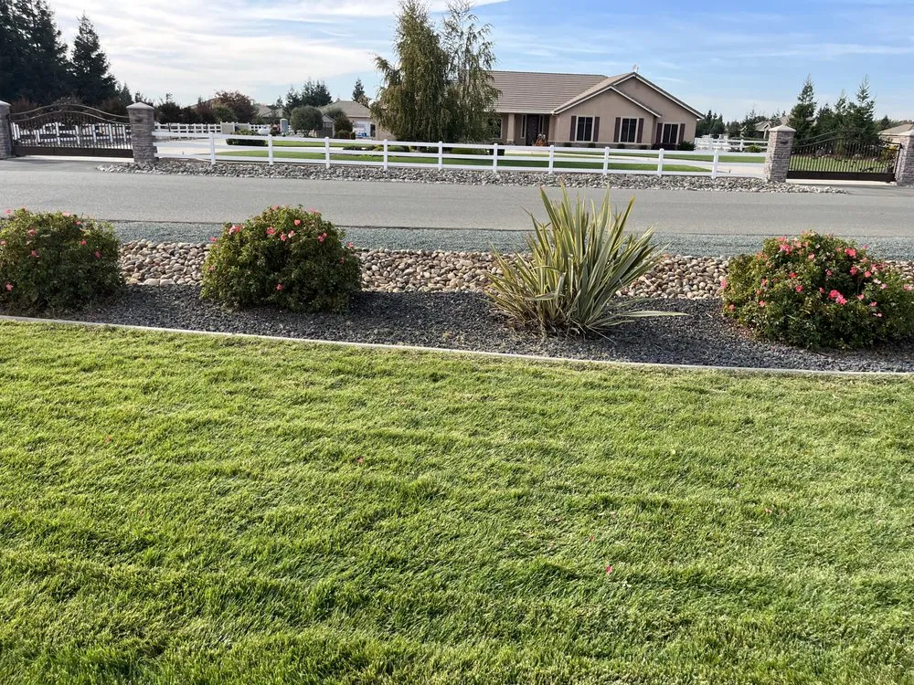 Custom yard cleanup service for beautiful yards across Stockton, CA - Mr. B’s Pressure Washing Service