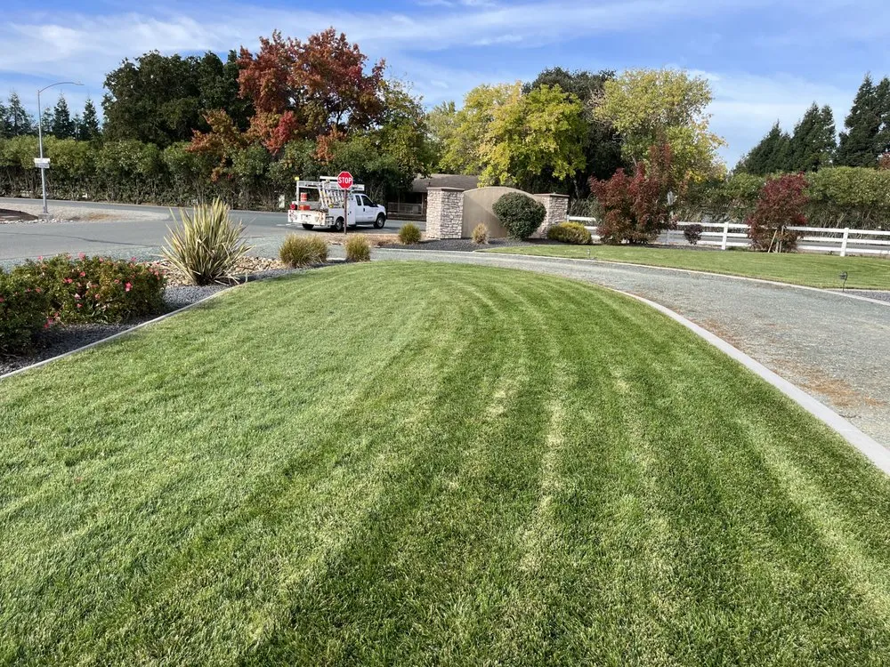 Reliable residential landscaping in Stockton, CA - Mr. B’s Pressure Washing Service