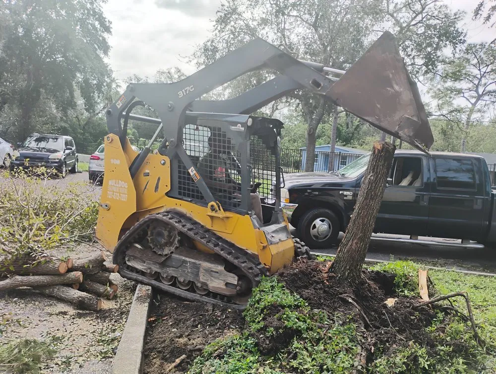 Reliable landscape installation experts serving St. Petersburg, FL - Mr B's Professional Tree & Landscape Services