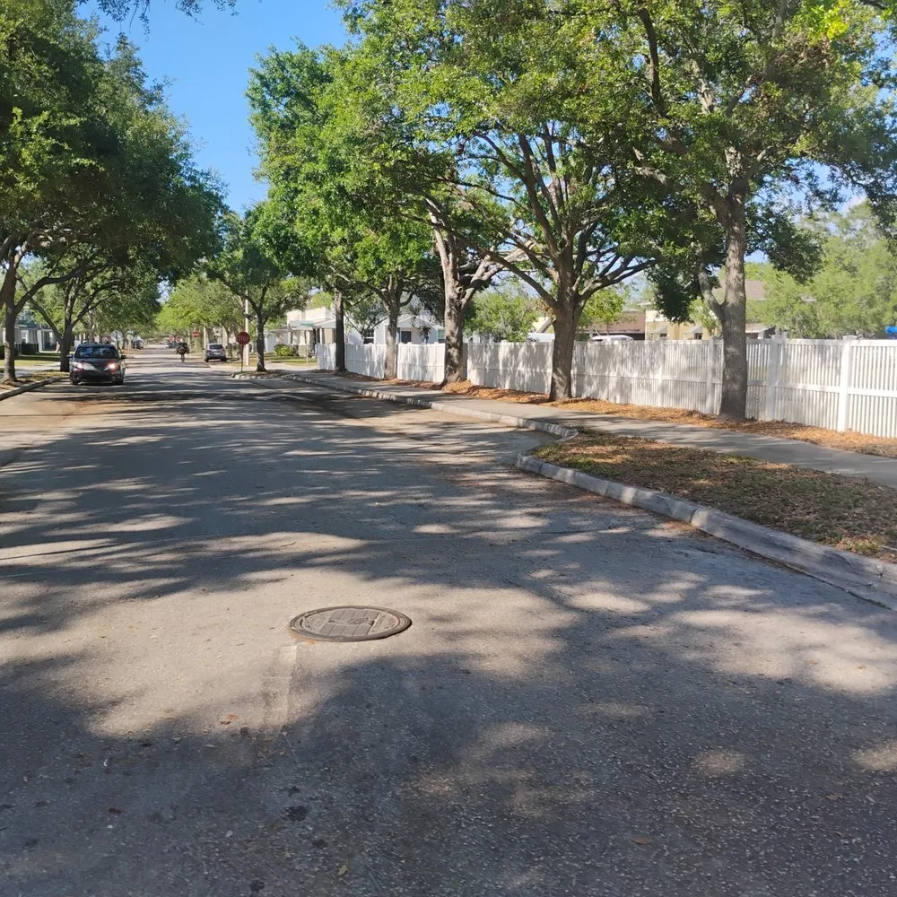 Expert outdoor landscaping in St. Petersburg, FL - Mr B's Professional Tree & Landscape Services