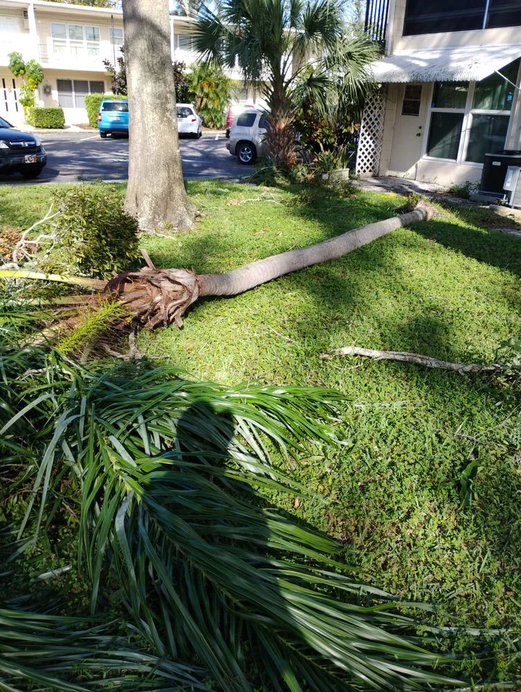 Affordable lawn mowing service for outdoor upgrades in St. Petersburg, FL by Mr B's Professional Tree & Landscape Services