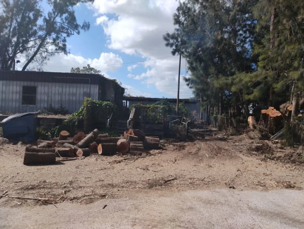 Affordable residential landscaping for beautiful yards in St. Petersburg, FL by Mr B's Professional Tree & Landscape Services