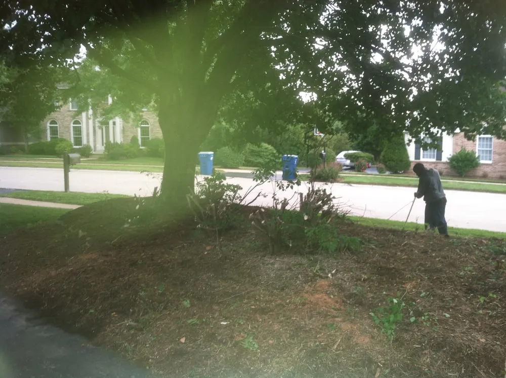 Local landscape design in Saint Louis, MO by Mr. Budget