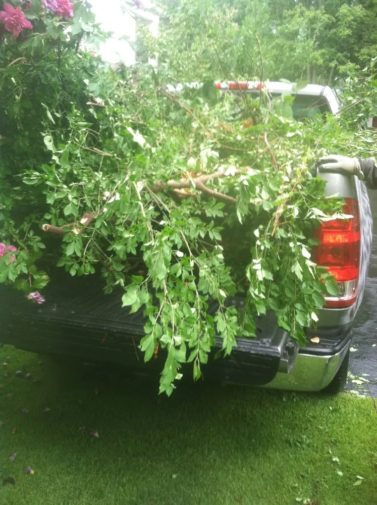 Trusted lawn mowing service in Saint Louis, MO - Mr. Budget