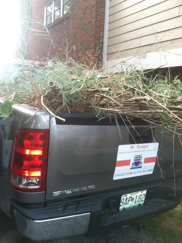 Professional outdoor landscaping for outdoor upgrades in Saint Louis, MO by Mr. Budget