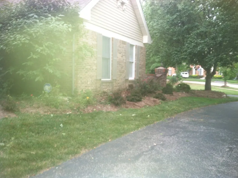 Professional lawn mowing service near you in Saint Louis, MO by Mr. Budget