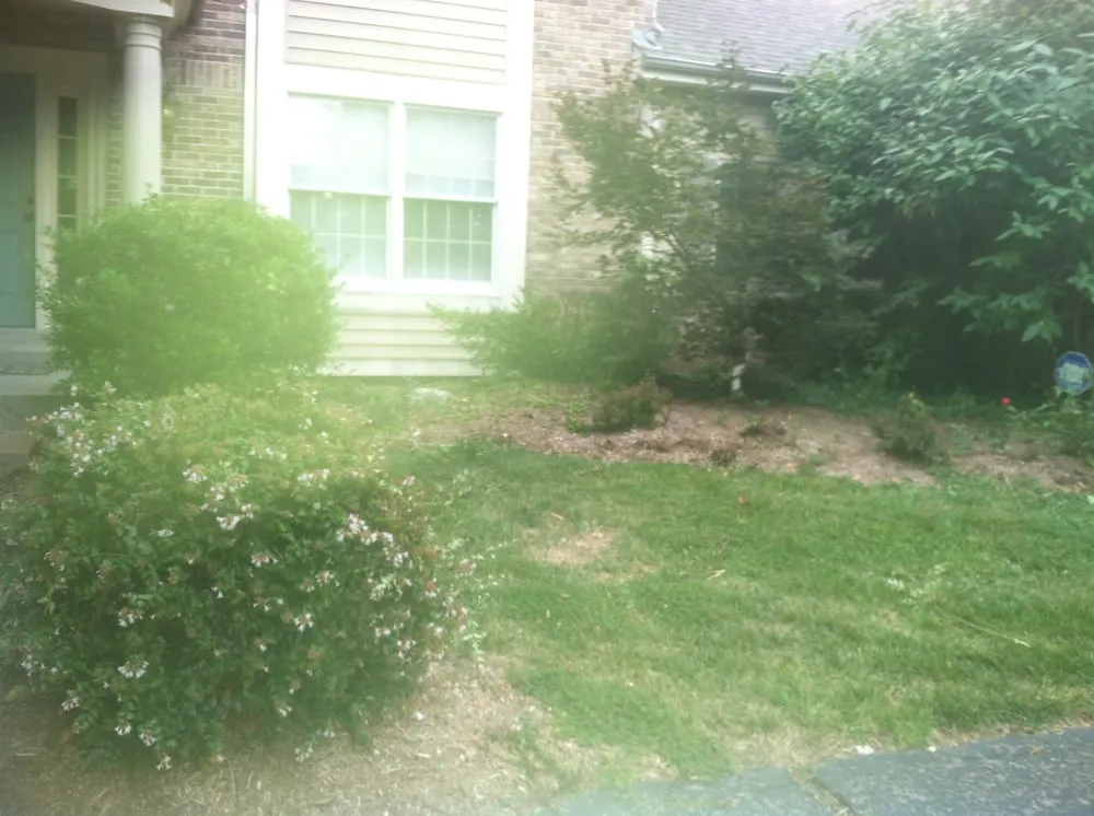 Professional landscape installation in Saint Louis, MO by Mr. Budget