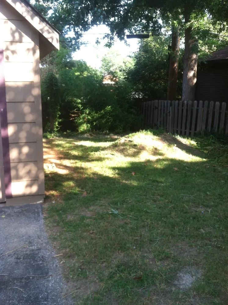 Reliable lawn mowing service experts serving Saint Louis, MO - Mr. Budget