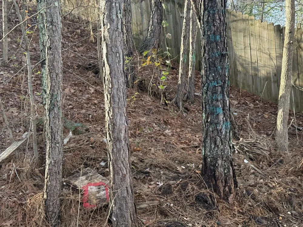 Affordable landscape installation for homes across Lithia Springs, GA - Mr Cant Stop