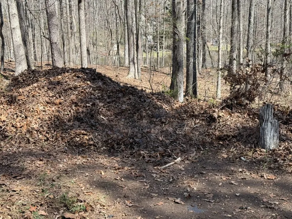 Local yard cleanup service experts serving Lithia Springs, GA - Mr Cant Stop