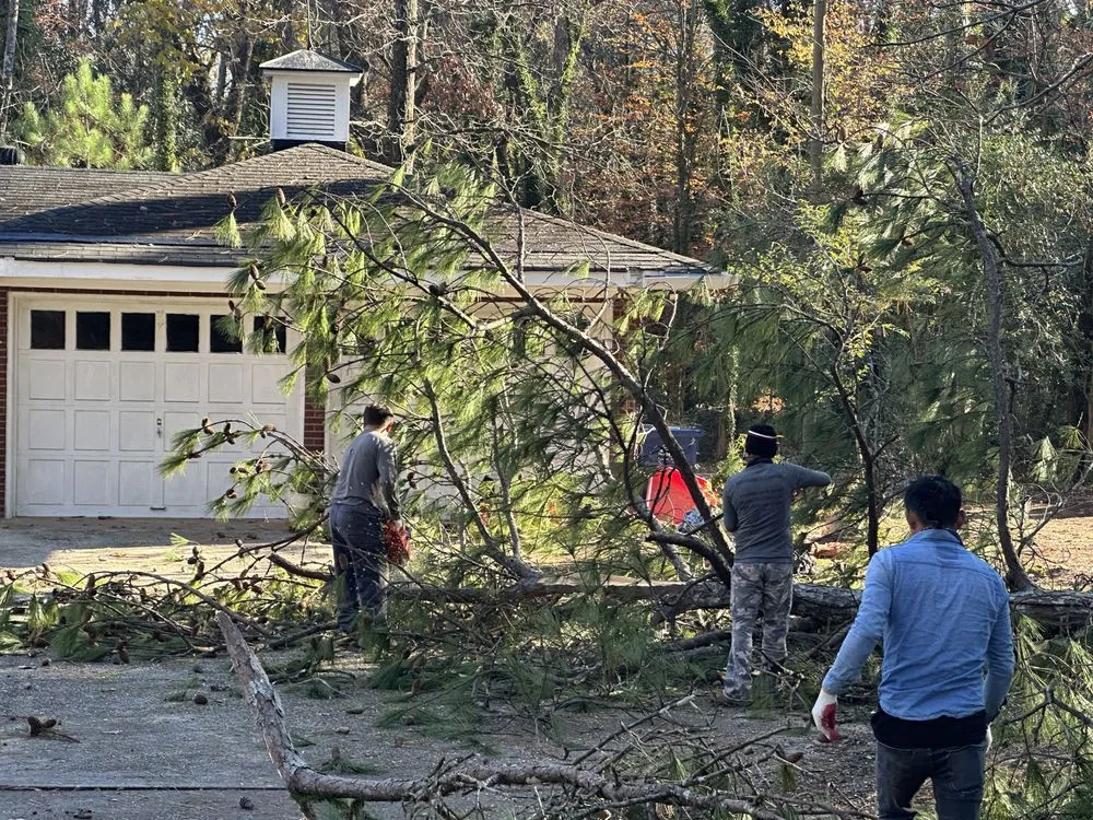 Reliable residential landscaping experts serving Lithia Springs, GA - Mr Cant Stop