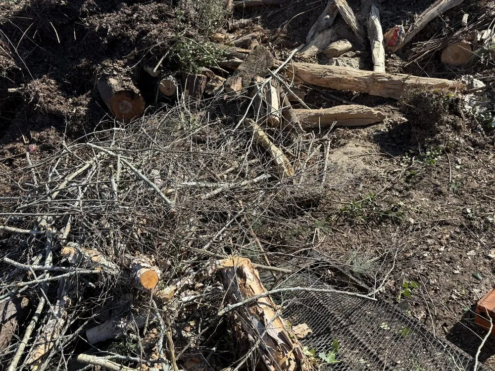 Professional residential landscaping in Lithia Springs, GA by Mr Cant Stop