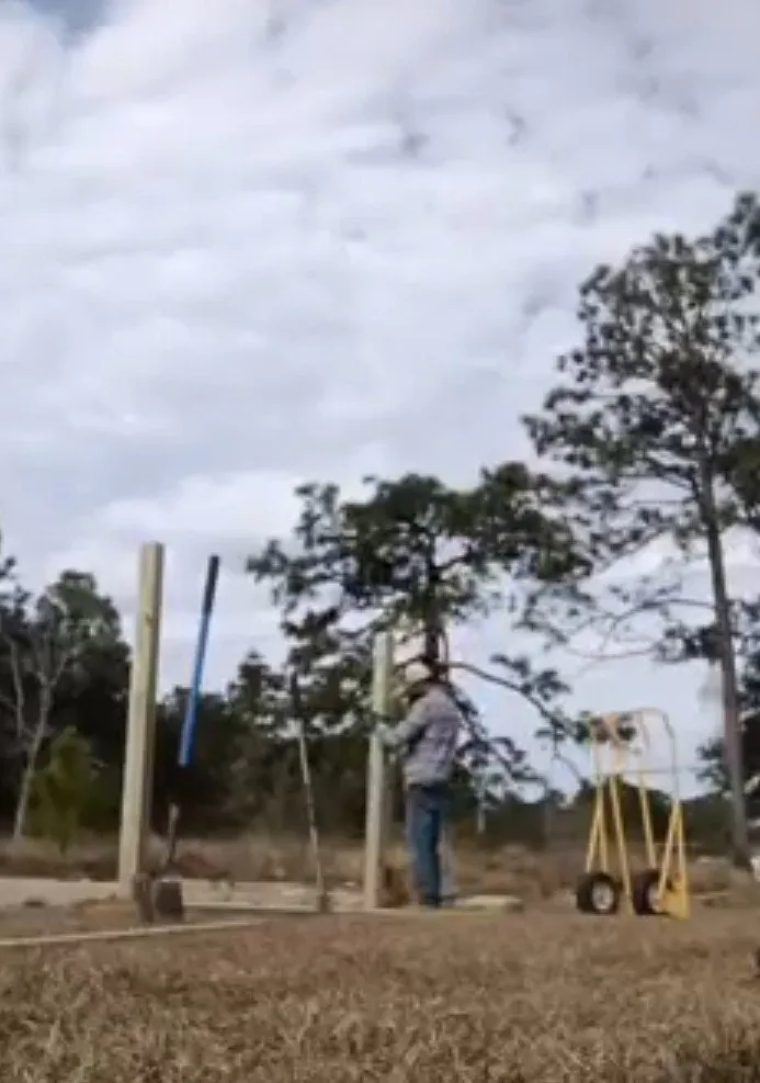 Custom landscaping services for year-round maintenance across Pensacola, FL - Mr Carlo Lawn Care Service