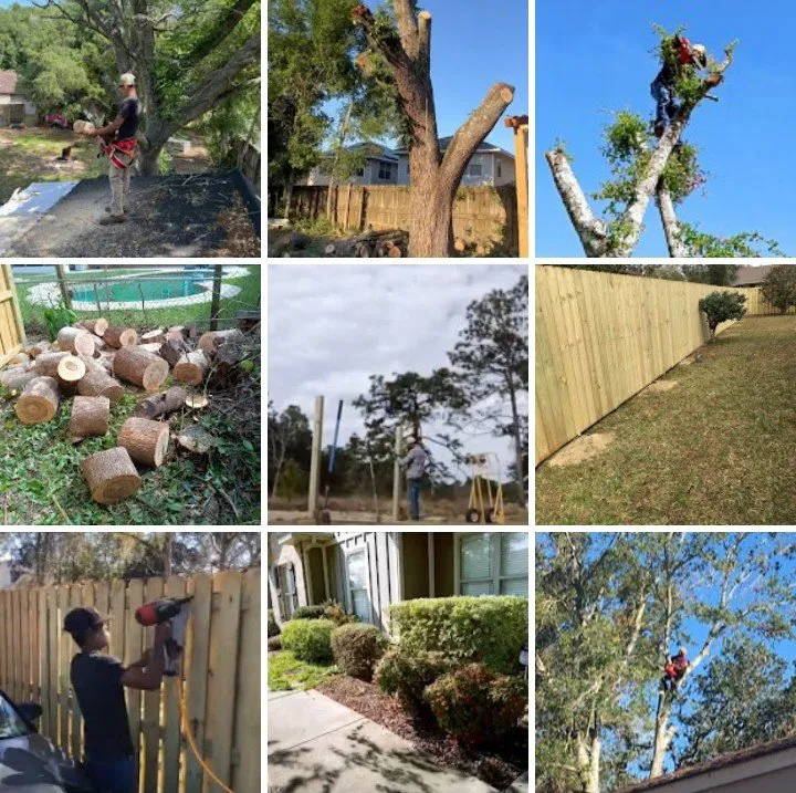 Trusted garden landscaping experts serving Pensacola, FL - Mr Carlo Lawn Care Service