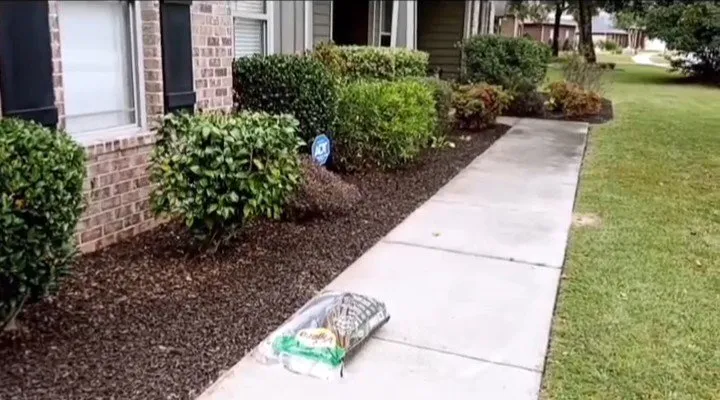 Trusted yard maintenance in Pensacola, FL - Mr Carlo Lawn Care Service