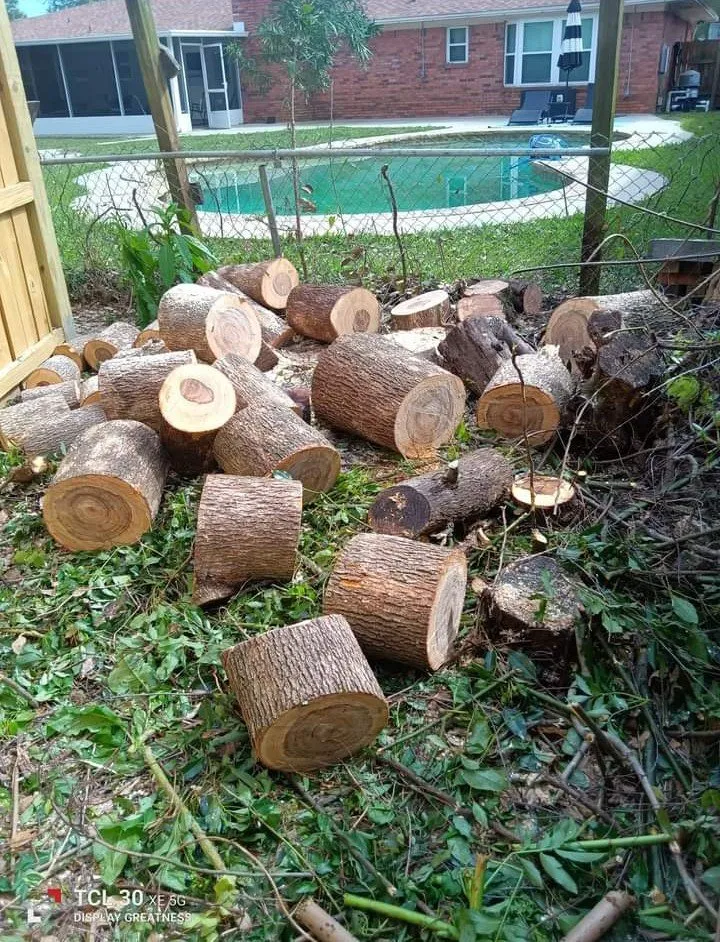 Local landscape design in Pensacola, FL by Mr Carlo Lawn Care Service